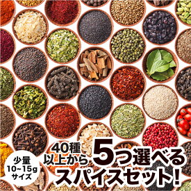 48種から5つ選べる少量スパイスセット！ チャック袋入 スパイス シナモン ジンジャー ブラックペッパー カルダモン クローブ ガーリック ターメリック クミン ガラムマサラ コリアンダー マスタード クリスマス 福袋 カレー 送料無料