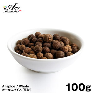 yzI[XpCXz[y`z 100g `bNtܓ I[XpCX XpCX  no[O r[tV`[ َq W Ăَq hbVO sNX NX}
