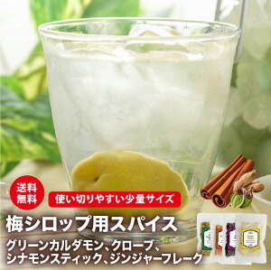 _ X[p[SALE 10 OFF!! ^ yVstz ~VbvpXpCX4Zbg Vi WW[ N[u O[J_ ~ XpCX l[h