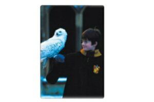 ySi@Iz@n[|b^[@|XgJ[h03@@@zO[c@f@nKL@莆@͂@Ă݁@G@^[@G݁@ObY@킢