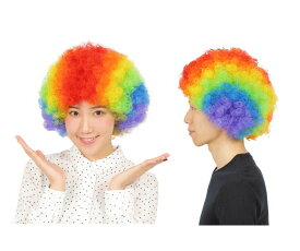 グッズ　アフロレインボー　カツラ　ボンバーヘッド　パーティ　ハロウィン　コスプレ　コスチューム　衣装　仮装　かわいい