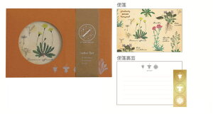 �O��ST-263 �y�S�i�@���������I�z�@�y5�Z�b�g�z�@�y�Z�b�g�z�@�y�Z�b�g���i�z�@�I���W�i���@���^�[�Z�b�g�A���w�@STUDY HOLIC�@�莆�@��ⳁ@�����@���[��@�G�݁@�O�b�Y�@���킢��