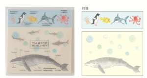 OST-176 ySi@Iz@y5Zbgz@yZbgz@yZbgiz@IWi@NAJo[tⳊCmw@STUDY HOLIC@ӂ@@[@wZ@׋@G݁@ObY@