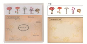 �O��ST-177 �y�S�i�@���������I�z�@�y5�Z�b�g�z�@�y�Z�b�g�z�@�y�Z�b�g���i�z�@�I���W�i���@�N���A�J�o�[�tⳋۗފw�@STUDY HOLIC�@�ӂ���@�����@���[��@�w�Z�@�׋��@�G�݁@�O�b�Y�@����