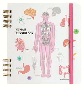 OST-271 ySi@Iz@IWi@Om[gEXNGAlސw@STUDY HOLIC@m[g@[@wZ@׋@G݁@ObY@킢