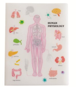 OST-247 ySi@Iz@IWi@A4NAubNt@Clސw@STUDY HOLIC@P[X@Jo[@t@C@[@[@wZ@׋@G݁@ObY@킢