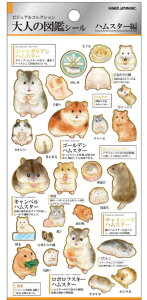 ySi@Iz@{@l̐}Ӂ@V[nX^[@@Aj}@XebJ[@[@G݁@ObY@킢