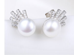 sAX Wp[ fUCsAX ANZT[ WG[ rW[ [^ RXv RX`[ 蕨 v[g ߑ LO a Mtg NX}X CX^ Be  X