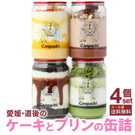 [愛媛 道後] ケーキとプリンの缶詰4点セット (4種類) Canpachi 特製 プリンと 手作り ケーキ缶 コラボ 愛媛県産 缶詰 要冷凍 お取り寄せ 詰め合わせ スイーツ カンパチ 女性 誕生日 母の日 プレゼントに