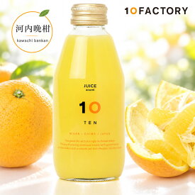10FACTORY 河内晩柑 果汁100% ストレートジュース 1本 (200ml) 愛媛産 みかん 国産 無添加 無加糖