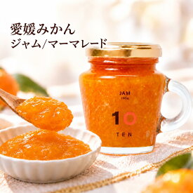 愛媛県産 柑橘ジャム・マーマレード 3種類から選べる 温州みかん 清見 伊予柑 国産 10FACTORY