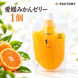 10FACTORY 愛媛みかんゼリー 選べる1個 170g 愛媛県産柑橘 ストレート果汁使用 飲むゼリー パウチ 寒天仕立て フルーツゼリー