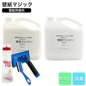 壁紙マジック 5kg＋道具セット 壁紙 塗装 染料 無臭 消臭 防カビ ヤニ汚れ 黄ばみ補修 リフォーム DIY ペンキ 刷毛付き