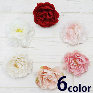 iLX  6F nhCh ޗ ԍ AWg  A[eBtBVt[  wbhhX 