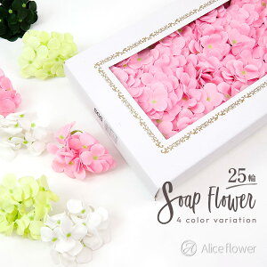 \[vt[ AWTC 25 ԍ   z A[eBtBVt[ u[P [XAW AWg  nhCh ޗ  