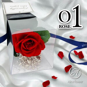  K̉ԑ o 1 vU[uht[ [Yu[P t[AWg ԑ u[P AWg  d LO ͂Ȃ