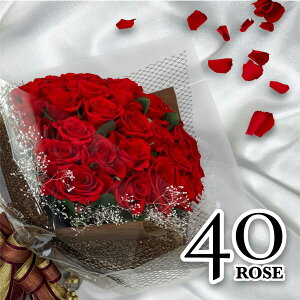  vU[uht[ o 40(40{) ԑ X^ht u[P v|[Y KN v`  sN o u[PX^h җ