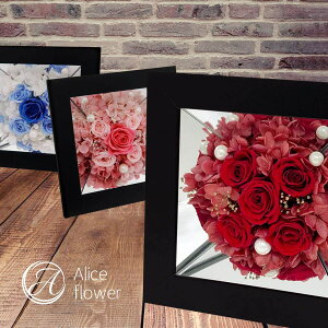  Mtg  ͂Ȃ vU[uht[ AW {bNX Mtg  킢 [Y o ~[ u[  җ җj JXj j  j a a