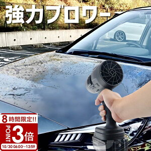 yP3{zyTikTokōb́z u[ GA_X^[  t |  ^[{WFbgt@ `Eobe[ [d ^  ݊ GA[ nfB