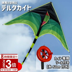yP3{zg JCg  p[t 200cm [ グ ^Rg X|[c OV LbY q Ƒ  ߋ W[ sNjbN  Lv ܂肽 AEghA X|