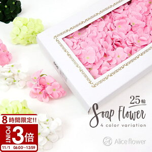 yP3{z\[vt[ AWTC 25 ԍ   z A[eBtBVt[ u[P [XAW AWg  nhCh ޗ  