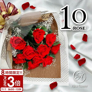 yP3{z vU[uht[ o 10(10{) K̉ԑ [Yu[P t[AWg KN ԑ u[P ALICE FLOWER_AXt[ AWg