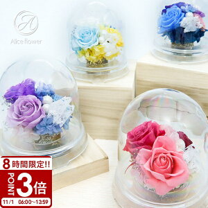 yP3{z  vU[uht[   ~j d ~ ފ @ V~ ~ r r  ybg [Y o ͂Ȃ 