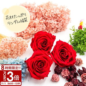 yP3{z  ԍ vU[uht[ hCt[ \[vt[   nhCh t  I EGJ{[h bsO A\[g lߍ킹