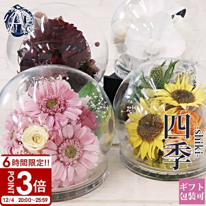  vU[uht[ a KXh[ P[X KX җ KN [Y Ӓ G߂̂ AWg KXP[X v` ͂Ȃ  