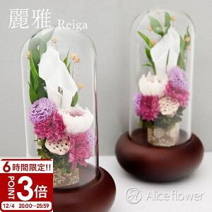  vU[uht[ dp KXh[ 傫 ~jd   䋟   AWg a _ ؐ Aliceflower ꂢ