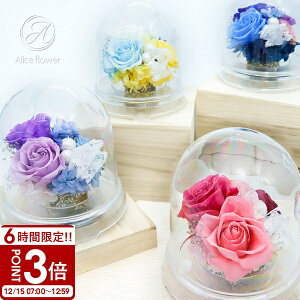 �yP3�{�z�� ���� �v���U�[�u�h�t�����[ ������ ������ �~�j ���d ���~ ���ފ� �@�� �V�~ ���~ �r�� �r�������� ������ �y�b�g ���[�Y �o�� �͂�Ȃ� ����