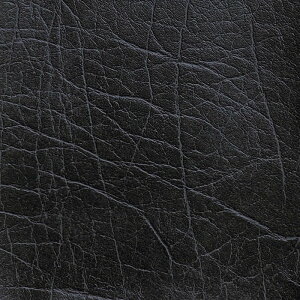 _CjO [N`FA fXN`FA  ݑ[N ֎q Ђ̂ _CjO`FA w qmL H ֎q CX { ؐ y JtF Be[W  n9F _y