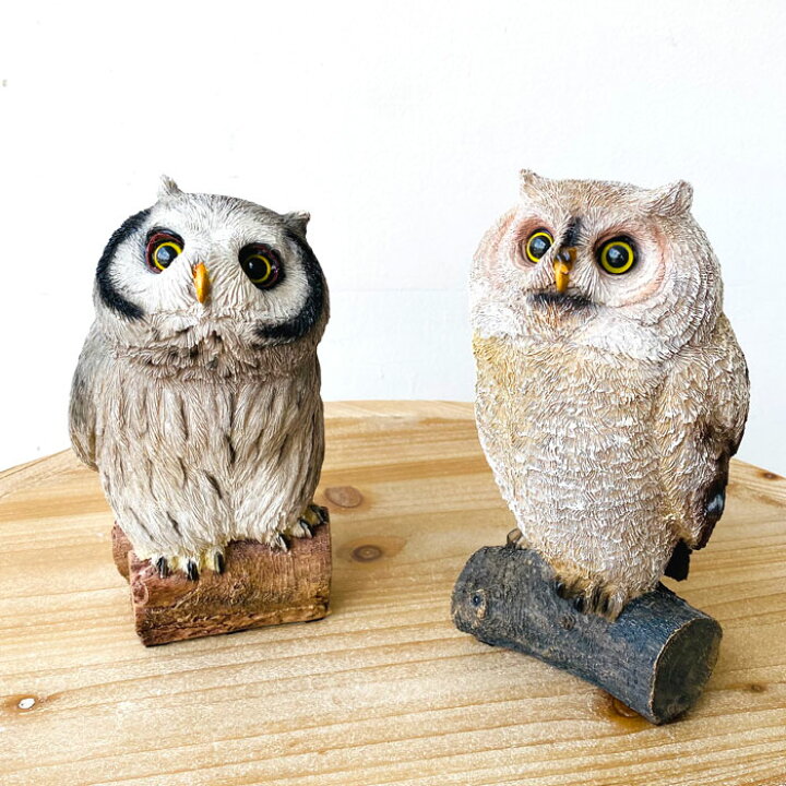 楽天市場】ふくろう フクロウ 梟 OWL オウル 置物 置き物 開運 開運 