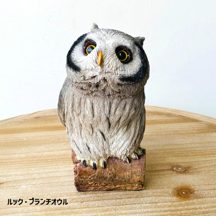 楽天市場】ふくろう フクロウ 梟 OWL オウル 置物 置き物 開運 開運 