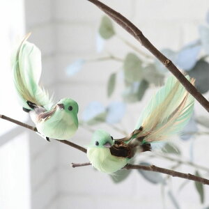 Nbvo[h u@킢u@̒u @@Nbv G 킢  u ObY G G CeAIuWF o[h Bird  Ƃ CeAG ylCiz