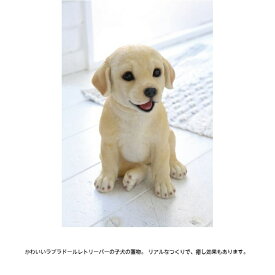 楽天市場 Labra Puppyの通販