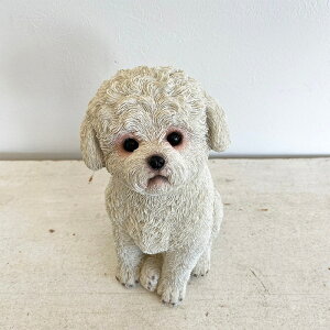  u gCv[h ps[ q IuWF gCv[ Aj} I[ig R G   RObY AeB[N [A g CeAG v[g 