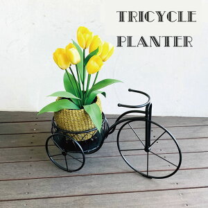 v^[X^h O֎ gCVN TRICYCLE   ubN  zCg ACA ԑ X^h  u K[fbN |bN O  ϗtA t[bN K[f