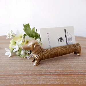 J[hz_[ ^J _bNXth  Dog J[hP[X fBXvCP[X hz_[ VbvJ[h uX W JE^[   AeB[N F S[h Mtg 