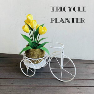 v^[X^h O֎ gCVN TRICYCLE   ubN  zCg ACA ԑ X^h  u K[fbN |bN O  ϗtA t[bN K[f