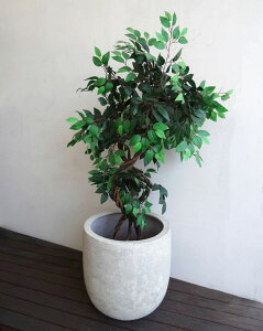 v^[ Aؔ   A y ^v^[ Xg[ FRP K[fjO   O[ ubN N[  ꌊ ֑Oyz@CgEU|b