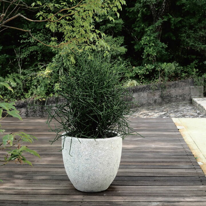 楽天市場】大型プランター 植木鉢 おしゃれ 鉢 陶器 大型プランター 