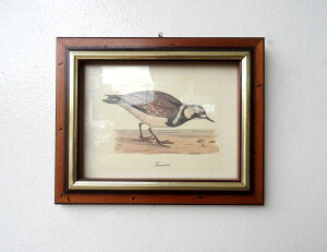 zG   o[h i` _ A[g|X^[ G EH[A[g A[gpl zt  o[h A[g Ǌ| AeB[N zt[ 蕨 25×20yzzG