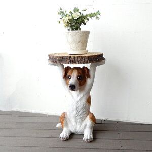 TChe[u Aj} [A  R WbNbZeA  COCeA ؐ  Xܗp Vbv a@ X I ԑ  R[q[e[u JtFe[u