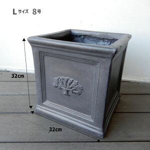 v^[|bg v^[ XNGA|bg O[ gray lp ` 8 7 6 t[|bg i` AeB[N v^[|bg | K[fjO t`Vr[ Aؔ 
