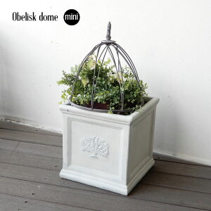 IxXN h[ ~j gX sbN ACA Vr[ GKg p AeB[Nu K[f K[fjO CeA ֐  G x GNXeA | O[