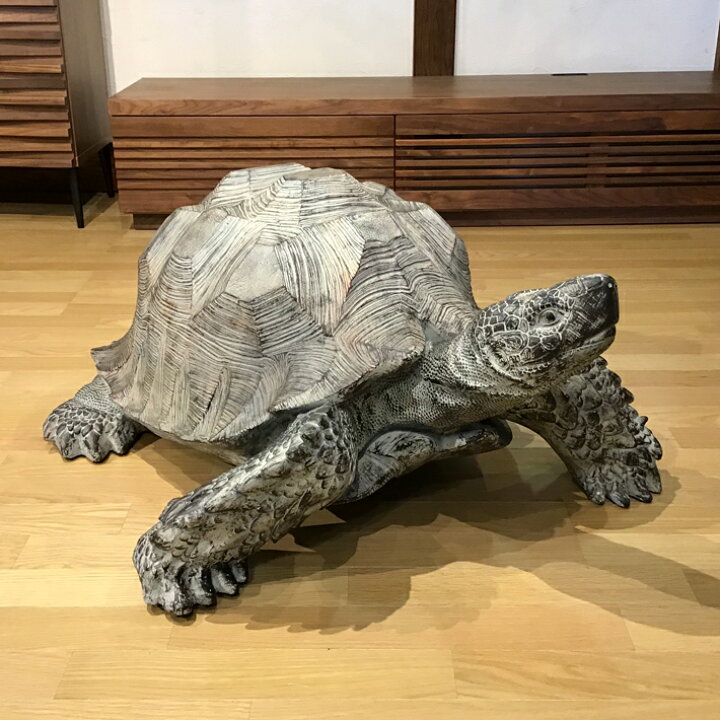 楽天市場 亀 ゾウガメ ぞうがめ かめ かめさん 特大 リアル カメ 置物 縁起物 縁起置物 金運 開運 健康 長寿 長生き 風水 健康運 幸せ 高級感 送料無料 ゾウガメの置物 ウッドギャラリー樹