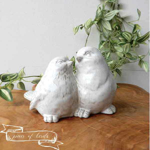  u  퐻  킢 ̏ Bird o[h yA CeAG IuWF G u  AeB[N v[g 蕨 a Vr[ zCg  