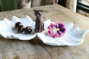 L LG ˂ lR g[ gC M  u ANZT[ َq  lRObY ˂ObY 킢 AWAG  蕨 aj av[g Mtgy