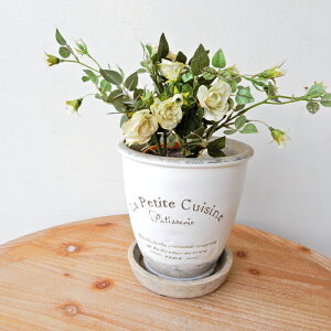 Ԃт k eRb^ |bg\[T[ |bg \[T[  GKg Ԋ x[X JtF AeB[N fBXvCG CeAG JtFG k t`Vr[Ce